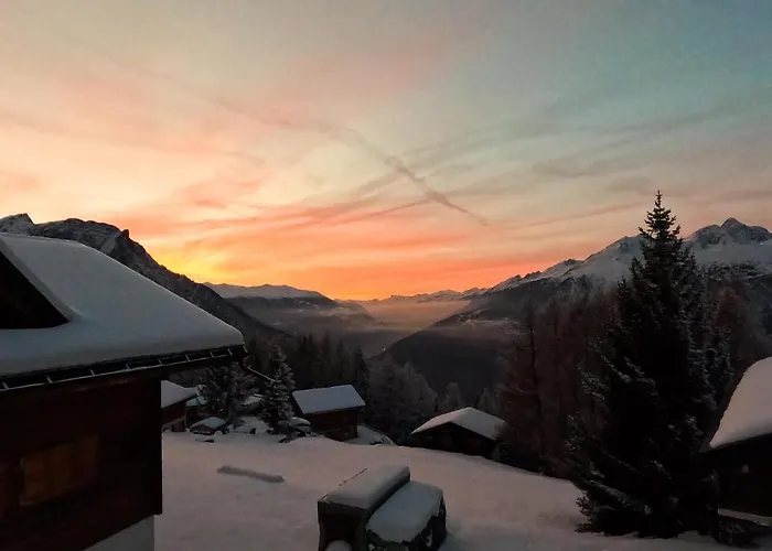 Daire Sonne